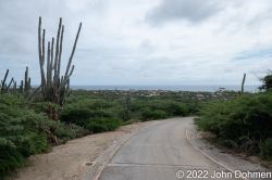 Aruba_Rooi_Lamunchi_20221031_023