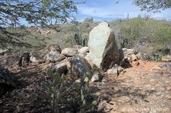 Spiritu_di_Cabrito_20241105_0017